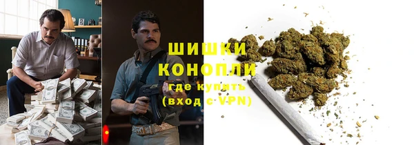 прущие грибы Арсеньев