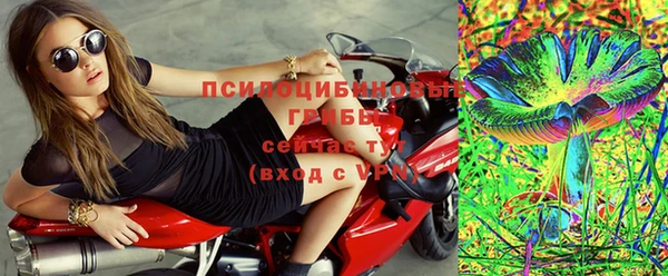 прущие грибы Арсеньев
