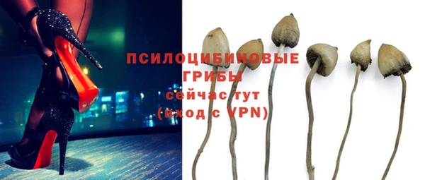 МДПВ Аркадак